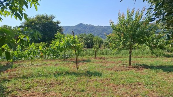 terreno agricolo in vendita a Salerno in zona Fontana di Genca / Pastorano