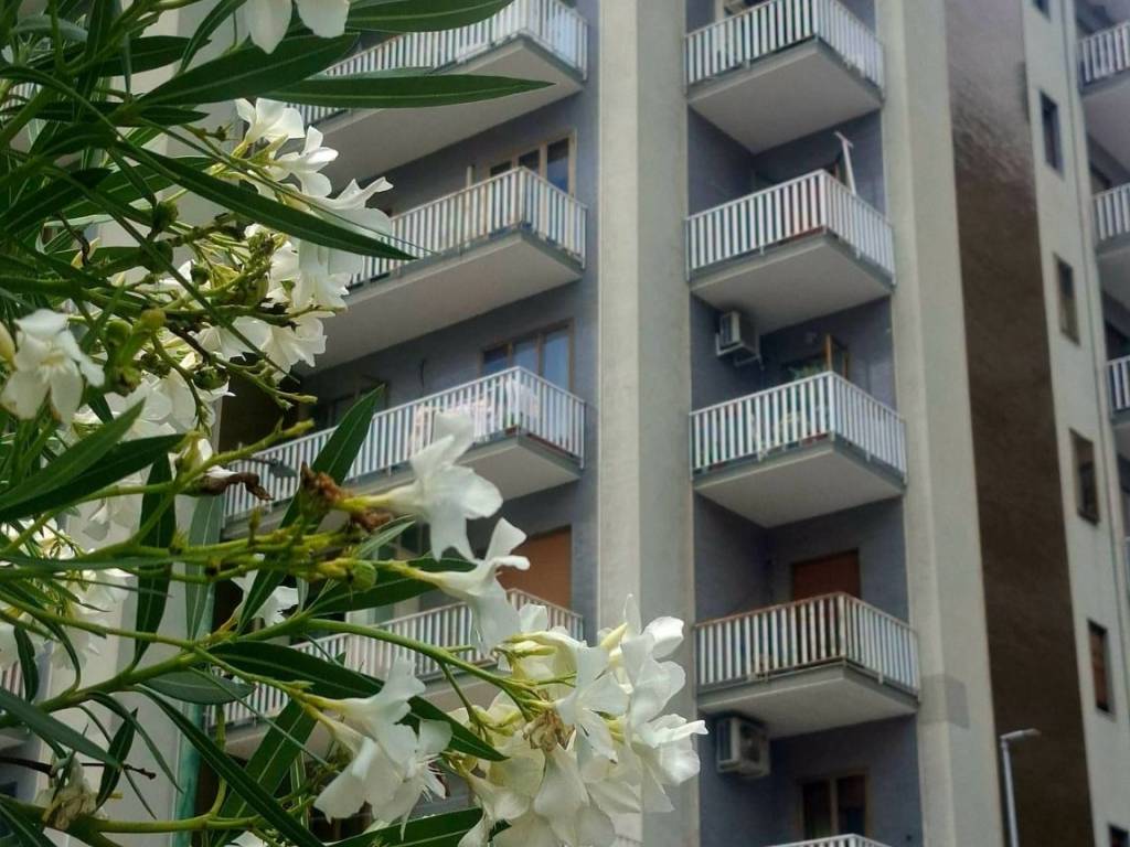 appartamento in vendita a Salerno