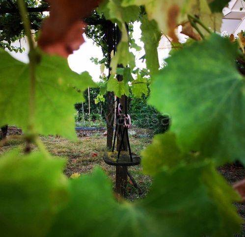 appartamento in vendita a San Cipriano Picentino