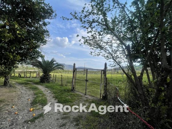 terreno agricolo in vendita a San Cipriano Picentino
