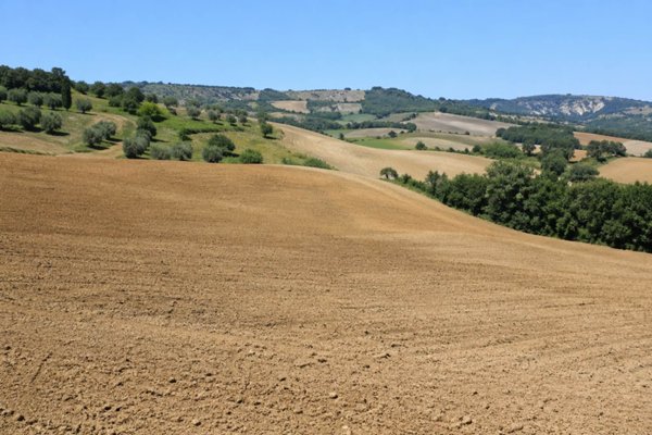 terreno agricolo in vendita a San Cipriano Picentino