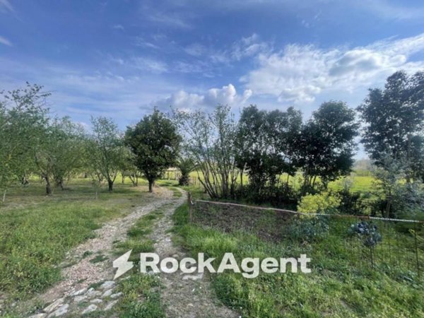 terreno agricolo in vendita a San Cipriano Picentino in zona Vignale