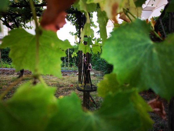 appartamento in vendita a San Cipriano Picentino in zona Pezzano