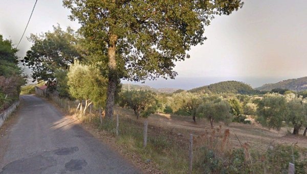 terreno agricolo in vendita a San Giovanni a Piro in zona Bosco