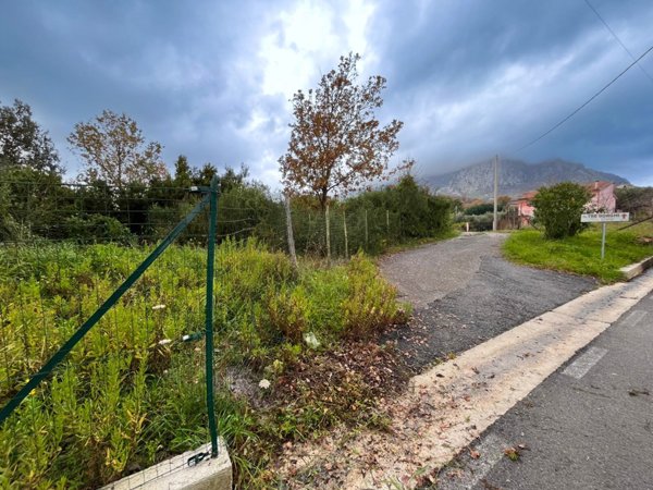 terreno agricolo in vendita a San Giovanni a Piro