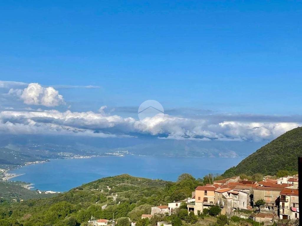 immagine annuncio 0 di 14