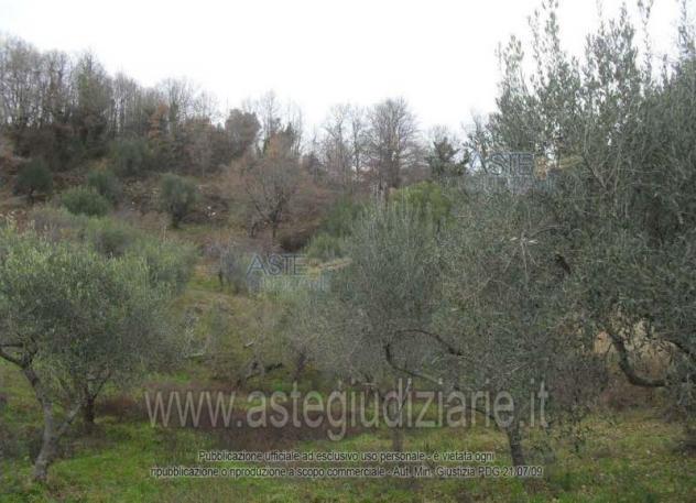 terreno agricolo in vendita a San Giovanni a Piro in zona Bosco