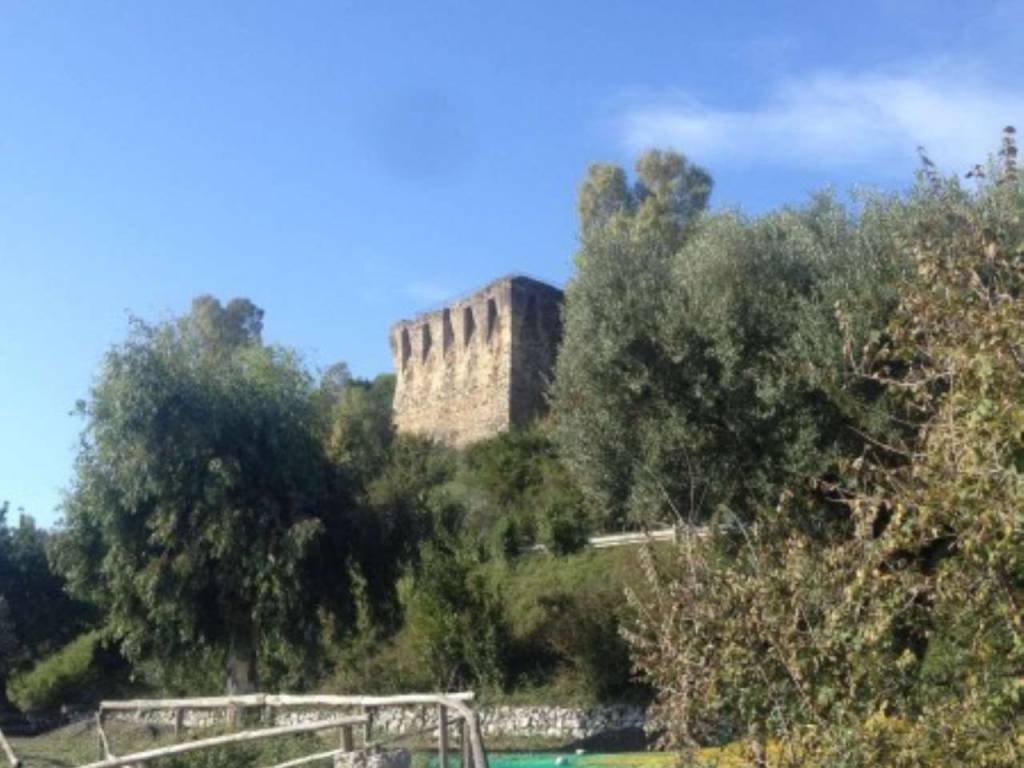 terreno agricolo in vendita a San Giovanni a Piro