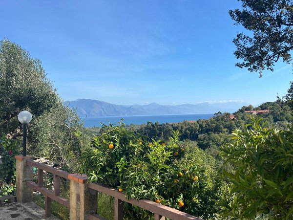 casa indipendente in vendita a San Giovanni a Piro in zona Scario