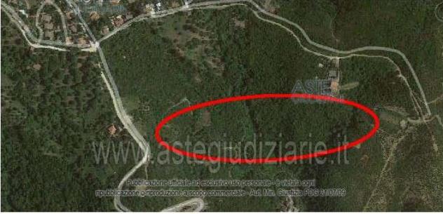 terreno agricolo in vendita a San Giovanni a Piro in zona Scario