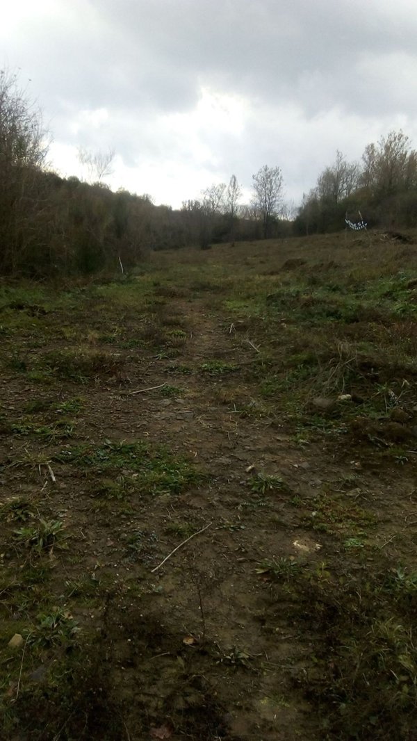 terreno agricolo in vendita a San Giovanni a Piro