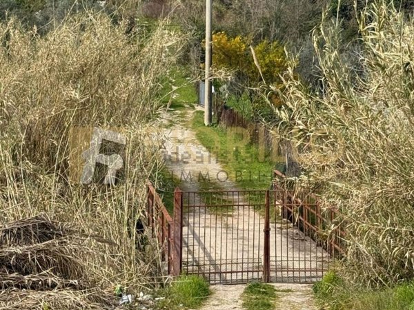 terreno agricolo in vendita a San Mango Piemonte