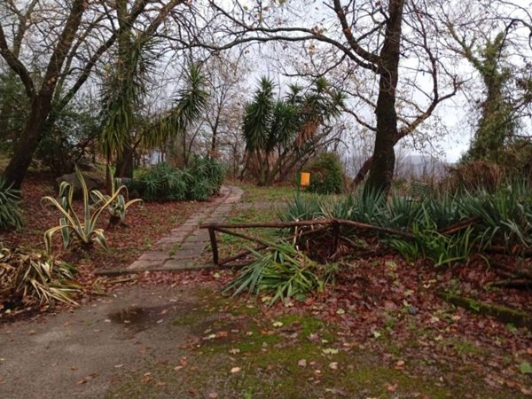 casa indipendente in vendita a San Mango Piemonte