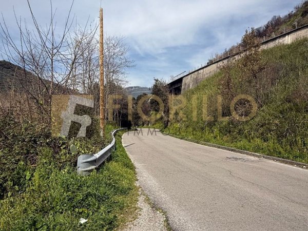 terreno agricolo in vendita a San Mango Piemonte