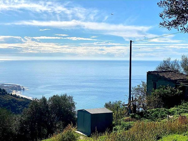 terreno agricolo in vendita a San Mauro Cilento