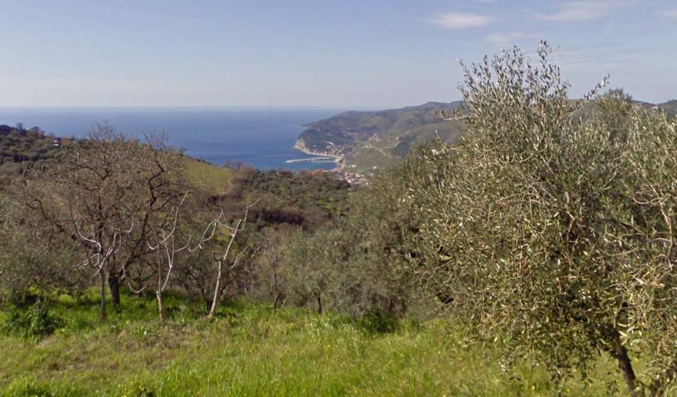 immagine annuncio 0 di 1