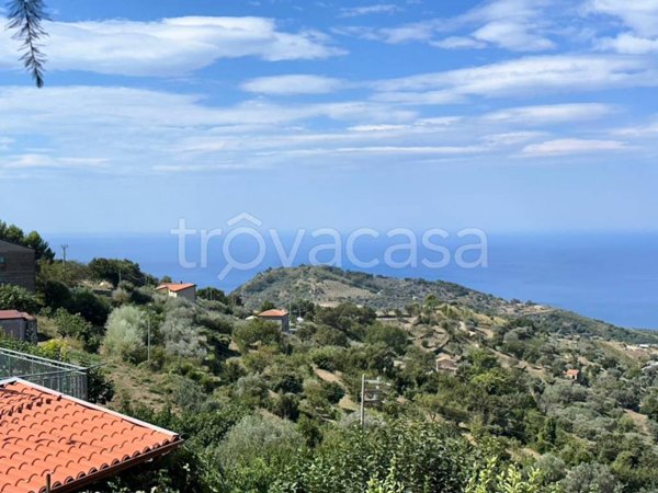 terreno agricolo in vendita a San Mauro Cilento