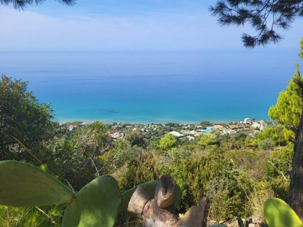 terreno agricolo in vendita a San Mauro Cilento