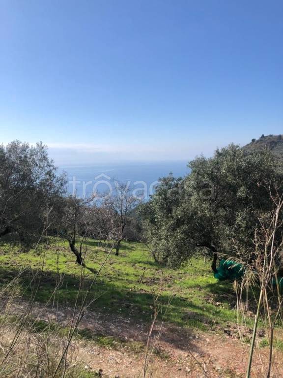 casale in vendita a San Mauro Cilento