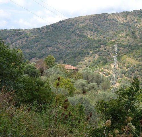 casa indipendente in vendita a San Mauro Cilento