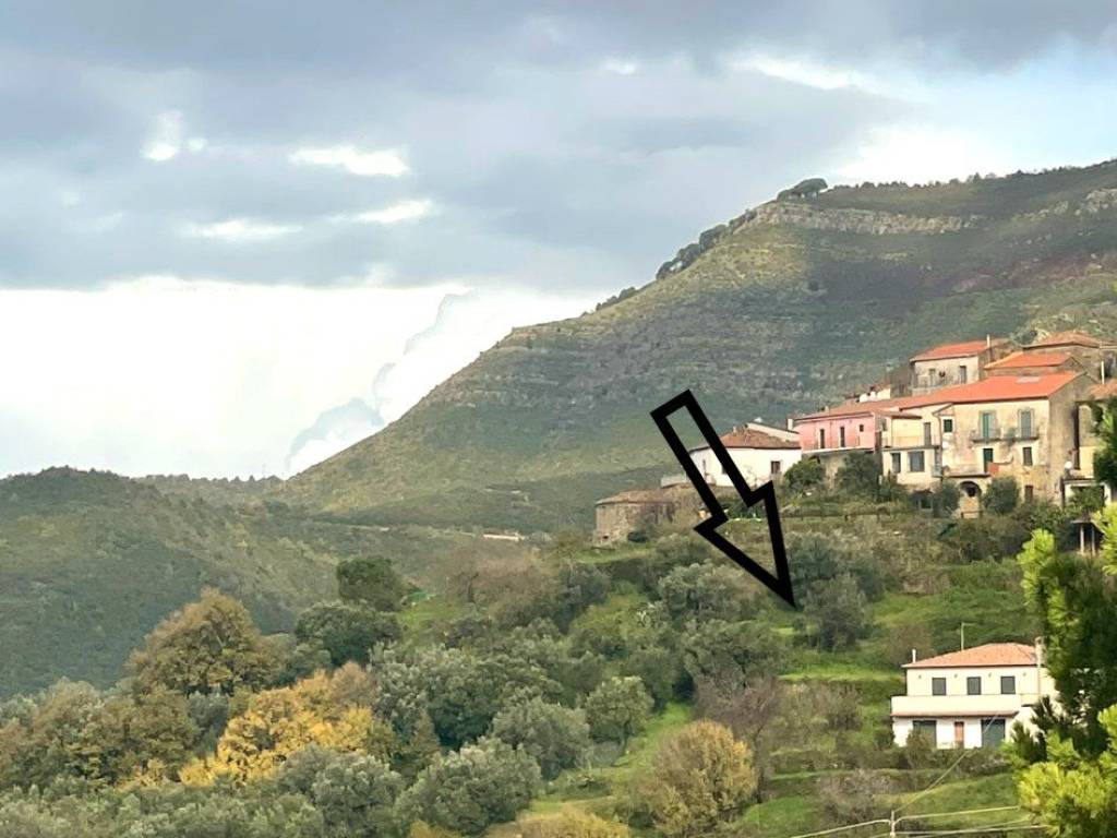immagine annuncio 0 di 2