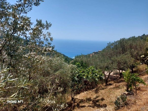 terreno agricolo in vendita a San Mauro Cilento