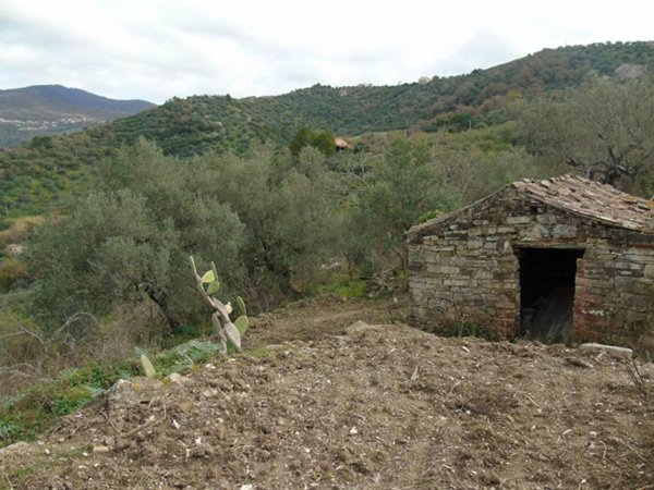 rudere in vendita a San Mauro Cilento