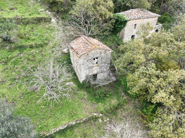 terreno agricolo in vendita a San Mauro Cilento