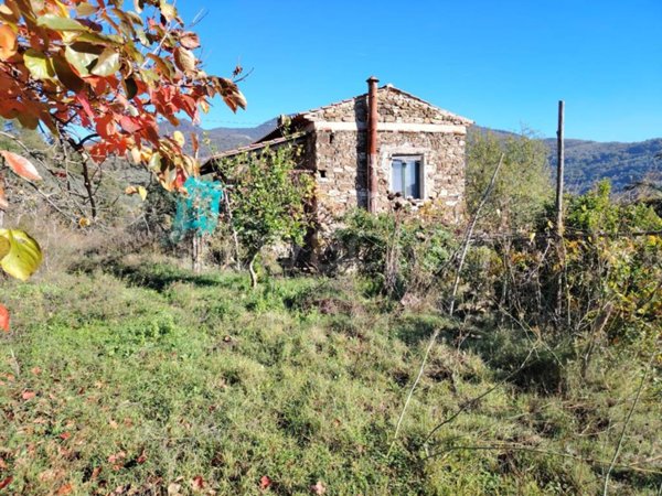 casa indipendente in vendita a San Mauro Cilento