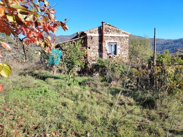 casa indipendente in vendita a San Mauro Cilento
