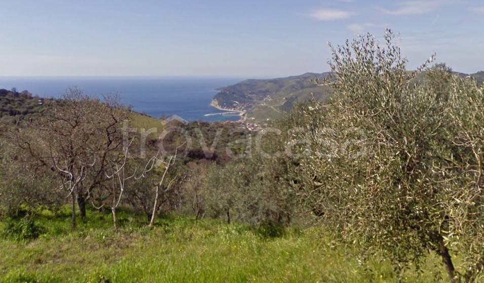 terreno agricolo in vendita a San Mauro Cilento