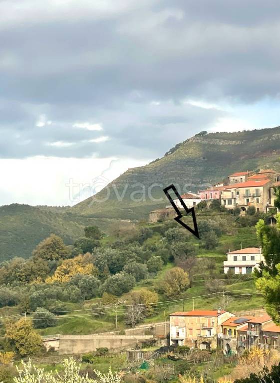 terreno agricolo in vendita a San Mauro Cilento