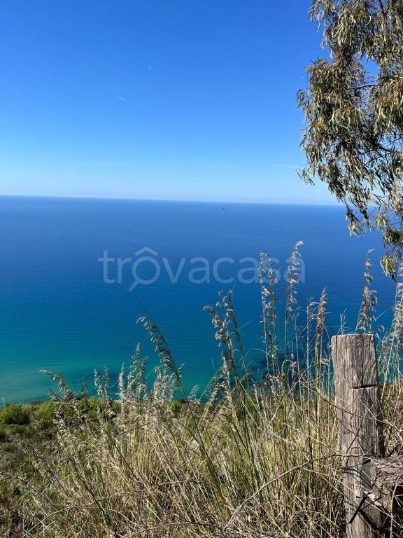 terreno agricolo in vendita a San Mauro Cilento