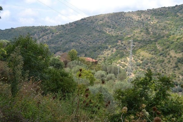 casale in vendita a San Mauro Cilento