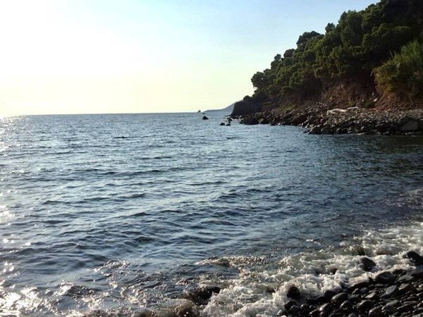casa indipendente in vendita a San Mauro Cilento in zona Mezzatorre