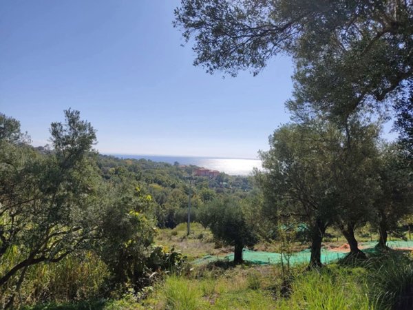 terreno agricolo in vendita a Santa Marina