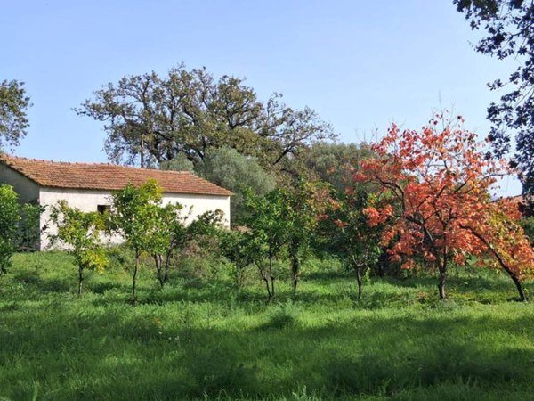 casa indipendente in vendita a Santa Marina