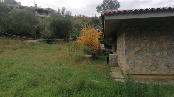 negozio in vendita a Santa Marina