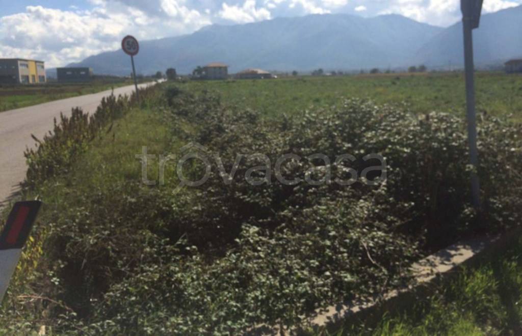 terreno agricolo in vendita a Sant'Arsenio