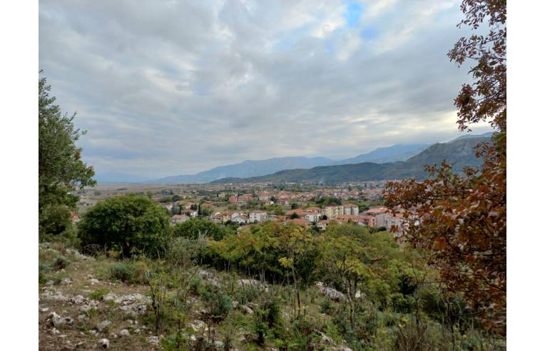 terreno agricolo in vendita a Sant'Arsenio