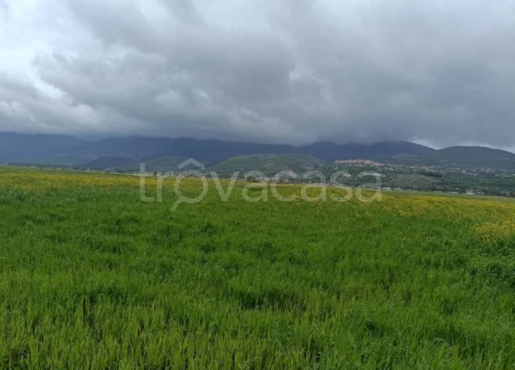 terreno agricolo in vendita a Sant'Arsenio