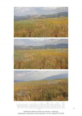 terreno agricolo in vendita a Sant'Arsenio