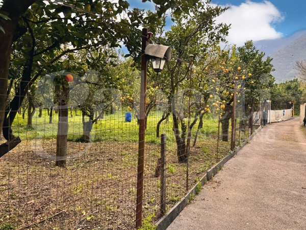 terreno agricolo in vendita a Sant'Egidio del Monte Albino