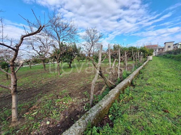 terreno agricolo in vendita a Sant'Egidio del Monte Albino