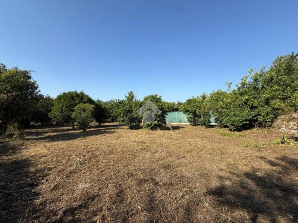 terreno agricolo in vendita a Sant'Egidio del Monte Albino in zona San Lorenzo