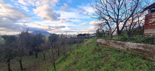 terreno agricolo in vendita a Sant'Egidio del Monte Albino