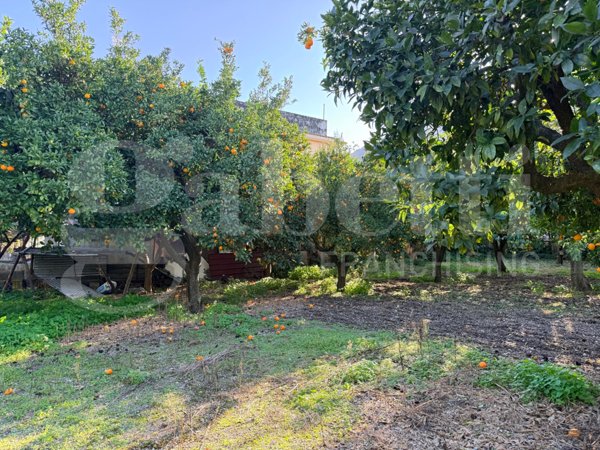 terreno agricolo in vendita a Sant'Egidio del Monte Albino