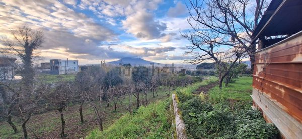 terreno agricolo in vendita a Sant'Egidio del Monte Albino