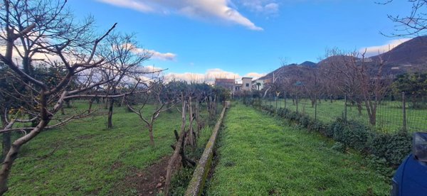 terreno agricolo in vendita a Sant'Egidio del Monte Albino