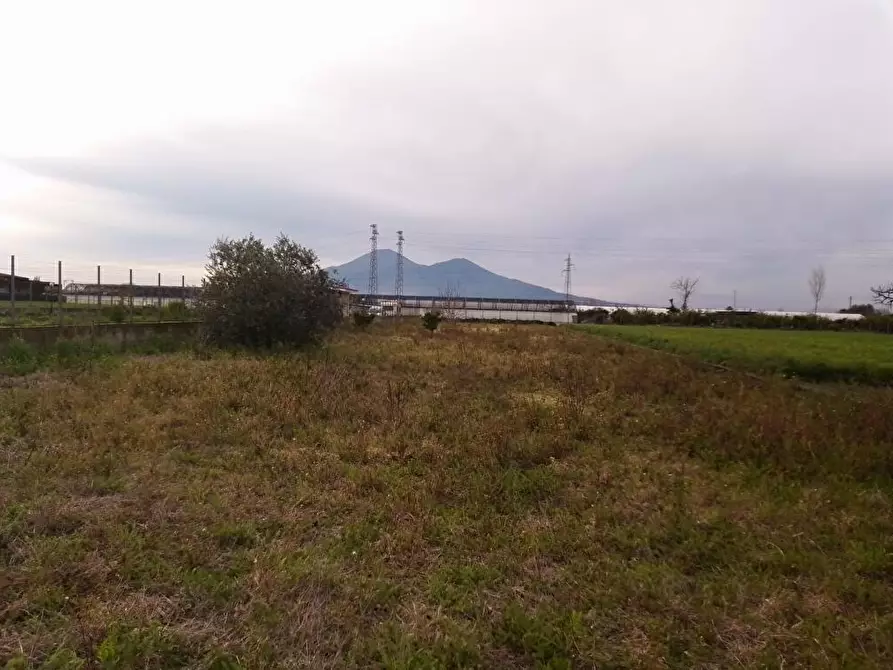 terreno agricolo in vendita a San Valentino Torio
